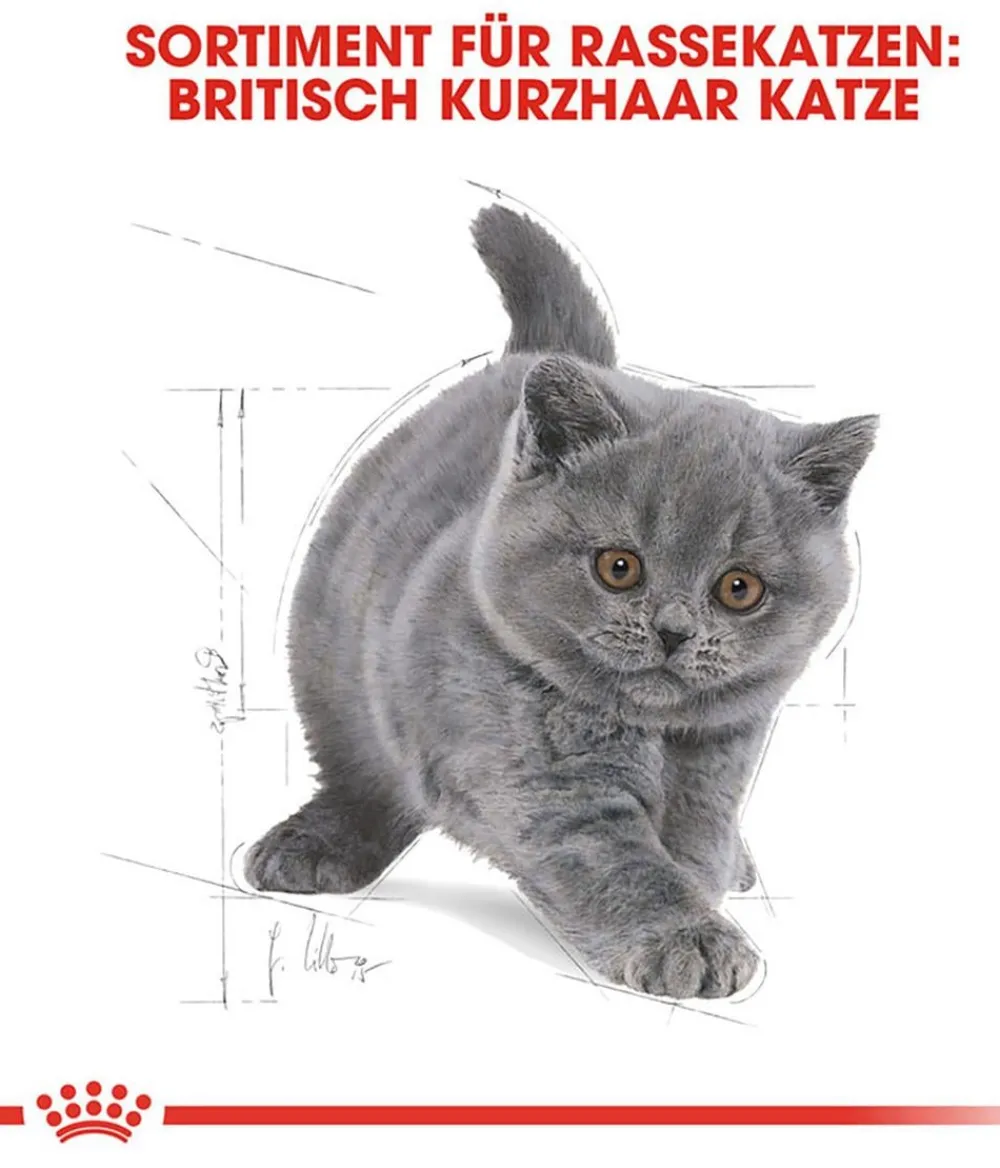 ROYAL CANIN® Trockenfutter Katze - Trockenfutter für Katzen British Shorthair Kitten