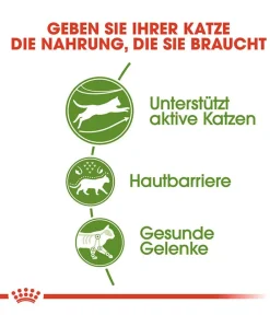 ROYAL CANIN® Trockenfutter Katze - Trockenfutter für Katzen Outdoor