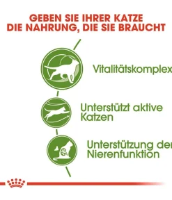 ROYAL CANIN® Trockenfutter für Katzen Outdoor 7+ Sale