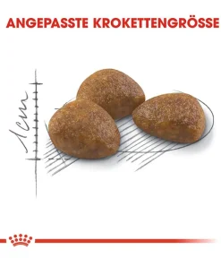ROYAL CANIN® Trockenfutter für Katzen Outdoor 7+ Sale