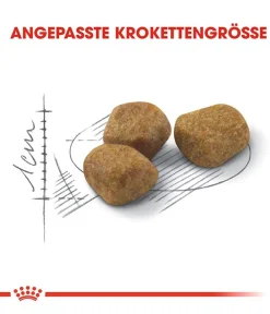 ROYAL CANIN® Trockenfutter Katze > Trockenfutter für Katzen Indoor 7+