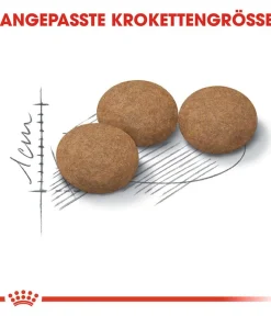 ROYAL CANIN® Trockenfutter Katze > Trockenfutter für Katzen Ageing 12+ Sterilised