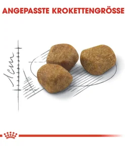ROYAL CANIN® Trockenfutter für Katzen Indoor 7+