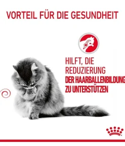 ROYAL CANIN® Trockenfutter Katze - Trockenfutter für Katzen Hairball Care