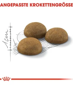 ROYAL CANIN® Trockenfutter für Katzen Indoor Long Hair Clearance