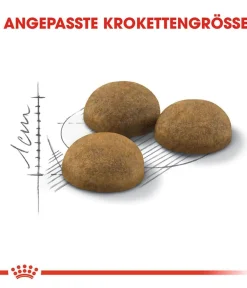 ROYAL CANIN® Trockenfutter Katze - Trockenfutter für Katzen Indoor Long Hair