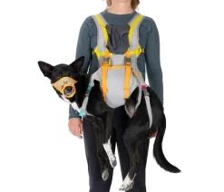 RUFFWEAR® Hundepflege & Hygiene > Evakuierungsset BackTrak™
