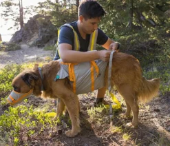 RUFFWEAR® Hundepflege & Hygiene > Evakuierungsset BackTrak™