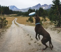 RUFFWEAR® Hundespielzeug > Frisbeescheibe Camp Flyer™