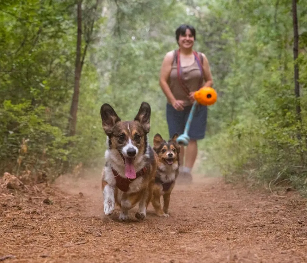 RUFFWEAR® Gummi-Wurfpiezeug Gourdo™ Orange Hot