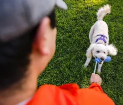 RUFFWEAR® Hundespielzeug - Gummi-Wurfpiezeug Gourdo™ Lila