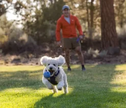 RUFFWEAR® Hundespielzeug - Gummi-Wurfspielzeug Huckama™ Lila