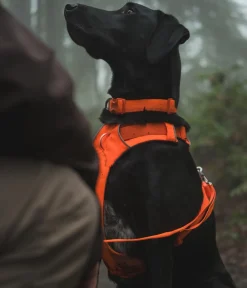 RUFFWEAR® Haband Front Range™ Orange Outlet