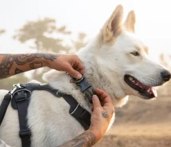 RUFFWEAR® Hundehalsbänder & Geschirre - Haband Front Range™ Anthrazit