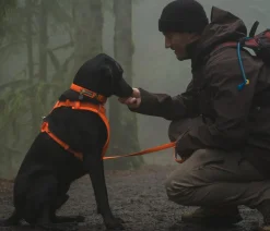 RUFFWEAR® Hundehalsbänder & Geschirre - Haband Front Range™ Orange