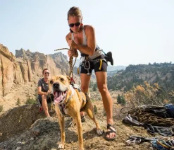 RUFFWEAR® Hundegechirr DoubleBack™ Online