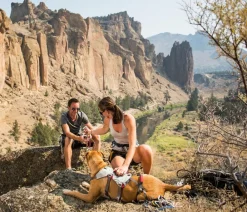 RUFFWEAR® Hundehalsbänder & Geschirre - Hundegechirr DoubleBack™