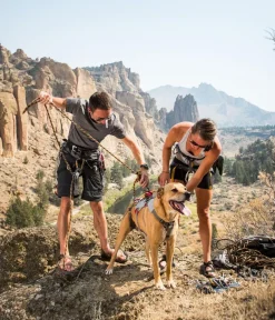 RUFFWEAR® Hundehalsbänder & Geschirre - Hundegechirr DoubleBack™