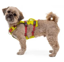 RUFFWEAR® Hundehalsbänder & Geschirre - Hundegechirr Fagine Harne 2.0 Lemon