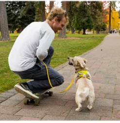 RUFFWEAR® Hundehalsbänder & Geschirre - Hundegechirr Fagine Harne 2.0 Lemon