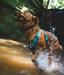 RUFFWEAR® Hundehalsbänder & Geschirre - Hundegechirr Fagine Harne 2.0 Grau