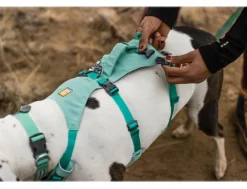 RUFFWEAR® Hundehalsbänder & Geschirre > Hundegechirr Fagine Harne 2.0