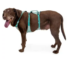 RUFFWEAR® Hundehalsbänder & Geschirre > Hundegechirr Fagine Harne 2.0