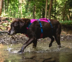 RUFFWEAR® Hundehalsbänder & Geschirre > Hundegechirr Fagine Harne 2.0