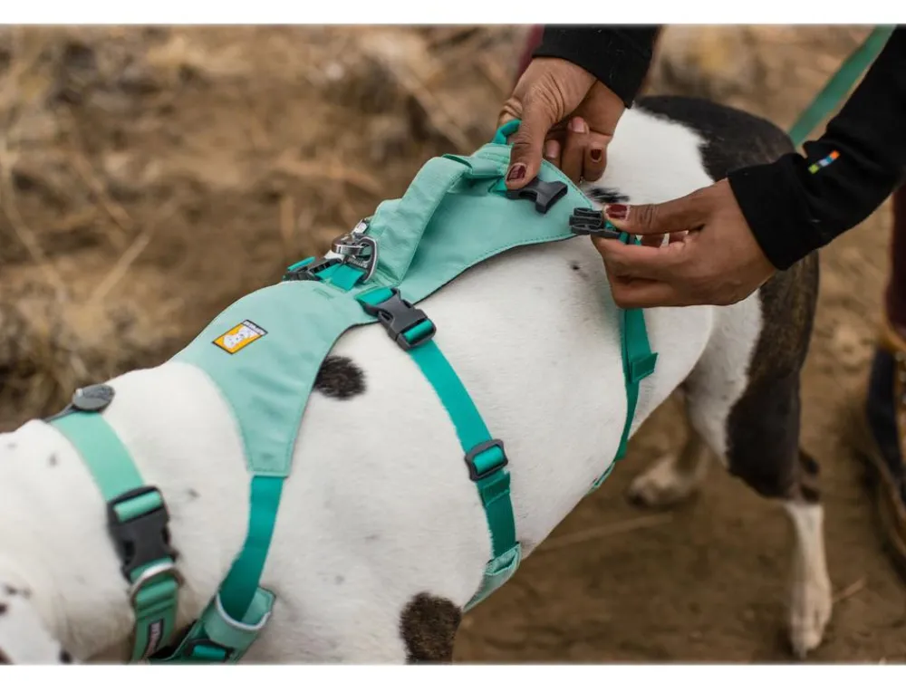 RUFFWEAR® Hundegechirr Fagine Harne 2.0 Türkis Outlet