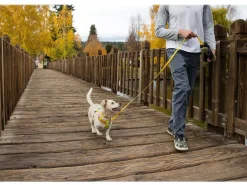 RUFFWEAR® Hundegechirr Fagine Harne 2.0 Lemon Sale