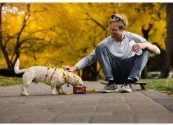 RUFFWEAR® Hundegechirr Fagine Harne 2.0 Lemon Sale