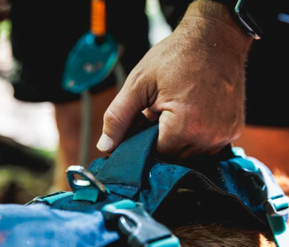 RUFFWEAR® Hundegechirr Fagine Harne 2.0 Grau Hot