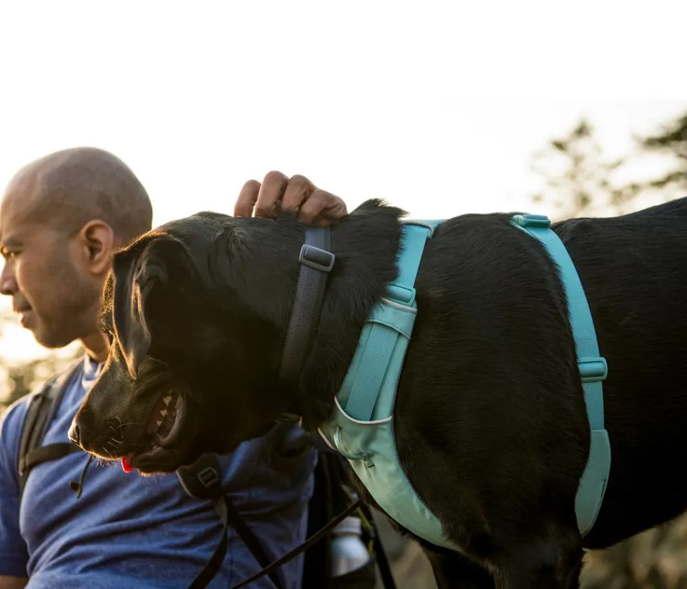 RUFFWEAR® Hundehalsbänder & Geschirre > Hundegechirr Front Range®
