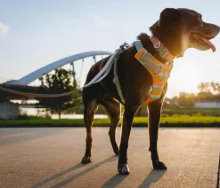 RUFFWEAR® Hundehalsbänder & Geschirre > Hundegechirr Front Range®