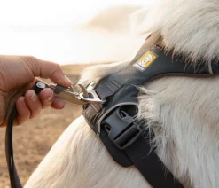 RUFFWEAR® Hundegechirr Front Range® Dunkelgrau Clearance