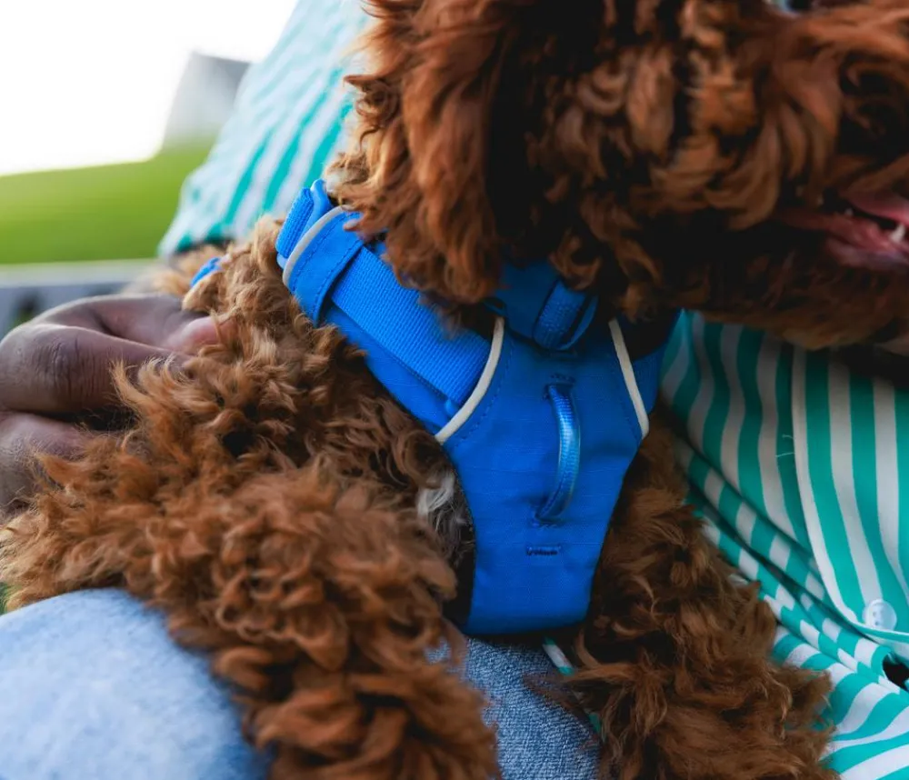 RUFFWEAR® Hundegechirr Front Range® Blau Outlet