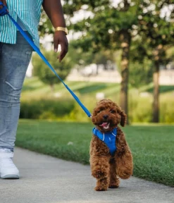 RUFFWEAR® Hundegechirr Front Range® Blau Outlet