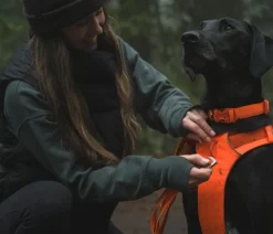 RUFFWEAR® Hundehalsbänder & Geschirre - Hundegechirr Front Range® Orange