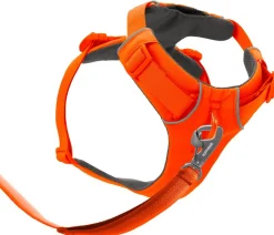 RUFFWEAR® Hundehalsbänder & Geschirre - Hundegechirr Front Range® Orange
