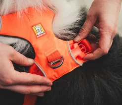 RUFFWEAR® Hundehalsbänder & Geschirre - Hundegechirr Front Range® Orange