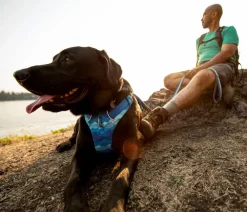 RUFFWEAR® Hundegechirr Front Range® Hellblau