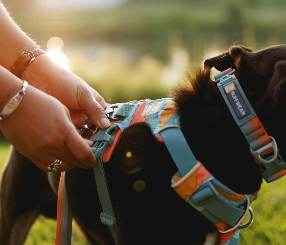 RUFFWEAR® Hundegechirr Front Range® Türkis Best