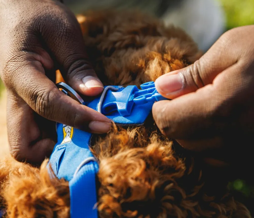 RUFFWEAR® Hundehalsbänder & Geschirre - Hundegechirr Front Range® Blau