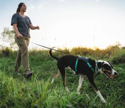 RUFFWEAR® Hundegechirr Hi & Light™ Harne 2.0 Grau Online