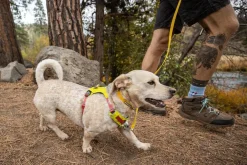 RUFFWEAR® Hundehalsbänder & Geschirre > Hundegechirr Hi & Light™ Harne 2.0