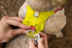 RUFFWEAR® Hundehalsbänder & Geschirre > Hundegechirr Hi & Light™ Harne 2.0