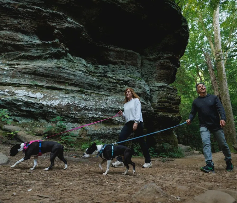 RUFFWEAR® Hundehalsbänder & Geschirre > Hundegechirr Hi & Light™ Harne 2.0