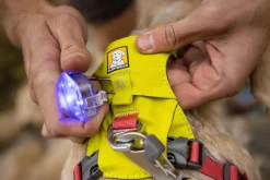 RUFFWEAR® Hundegechirr Hi & Light™ Harne 2.0 Lemon Online