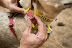 RUFFWEAR® Hundegechirr Hi & Light™ Harne 2.0 Lemon Online
