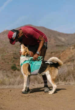 RUFFWEAR® Hundegechirr Hi & Light™ Harne 2.0 Türkis